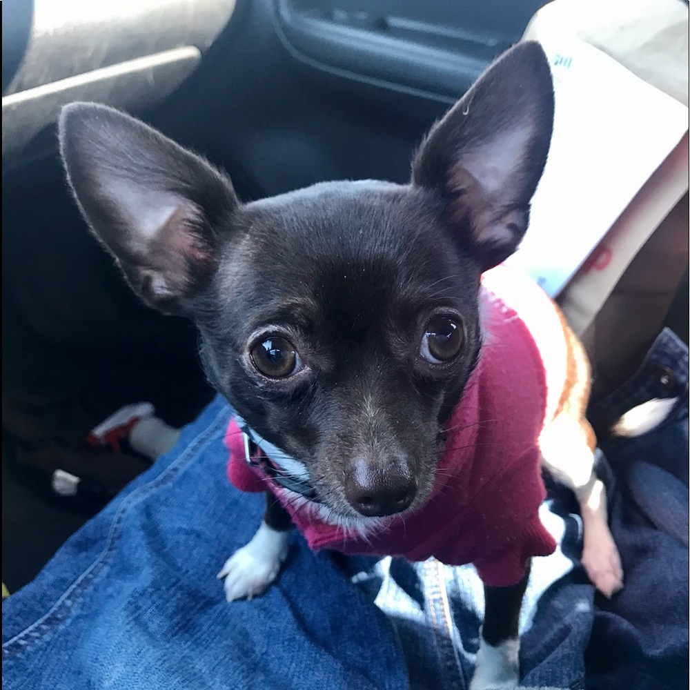 Meet your Posher, Leslie